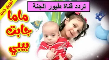 اضبطها الأن.. تردد قناة طيور الجنة الجديد 2024 على نايل سات