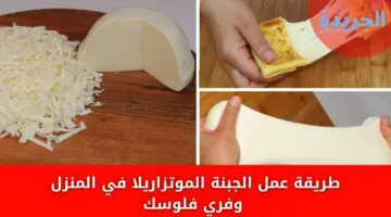 طريقة عمل الجبنة الموتزاريلا في المنزل وفري فلوسك