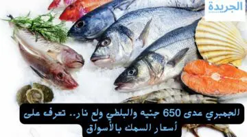 الجمبري عدى 650 جنيه والبلطي ولع نار.. تعرف على أسعار السمك اليوم بالأسواق