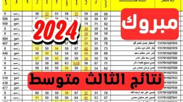 عبر موقع “نتائجنا”.. خطوات الحصول على نتائج الصف الثالث المتوسط في العراق 2024