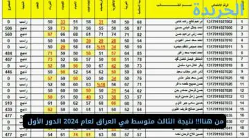 من هنا.. نتائج الثالث متوسط في العراق لعام 2024 الدور الأول عبر موقع الوزارة