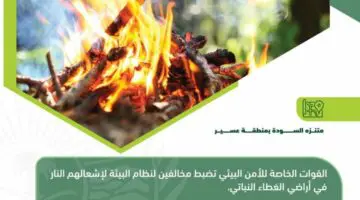 قيمة الغرامة الخاصة بإشعال النيران في مناطق الغطاء النباتي داخل السعودية