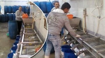 القانون يضع التزامات على الشركات المزاولة لنشاط تمويل المشروعات الصغيرة – الجريدة