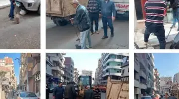 الأجهزة التنفيذية تشن حملات مكبره لإزالة تعديات البناء المخالف على الأراضي الزراعية وحرم الشوارع بنطاق الشرقية – الجريدة