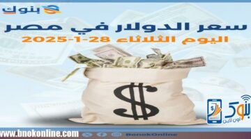 سعر الدولار في مصر اليوم الثلاثاء 28-1-2025 | أسعار العملات – الجريدة