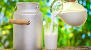 ماذا يحدث للجسم عند تناول كوب لبن حليب على الريق ؟ – الجريدة