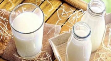 احذر.. تناول هذه الأطعمة مع اللبن الرائب يدمر الأمعاء – الجريدة