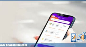 حدود المعاملات المالية عبر تطبيق إنستاباي 2025 | اتصالات و تكنولوجيا – الجريدة