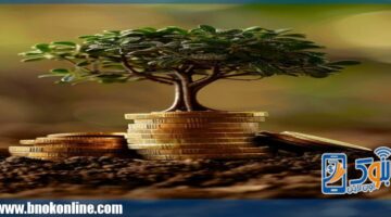 أسعار الفائدة على شهادات الادخار المدفوعة مقدماً في البنوك لعام 2025 | منتجات بنكية – الجريدة