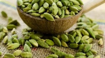 ماذا يحدث لجسمك عند تناول الحبهان؟ – الجريدة