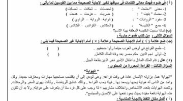 نماذج الوزارة في اللغة العربية لـ الصف الثالث الإعدادي.. مراجعات نهائية