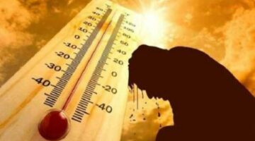 دراسة تحذر من أن تغير المناخ يزيد من خطر الوفيات بسبب الحرارة في المدن الأوروبية – الجريدة