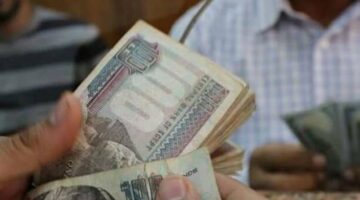 ما لم تحصل على الـ 7 آلاف جنيه في القطاع الخاص؟ إليك كيف تسترد حقوقك كاملة! – الجريدة