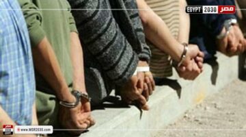 حبس عاطلين بتهمة سرقة متعلقات المواطنين بأسلوب الخطف | الحوادث – الجريدة