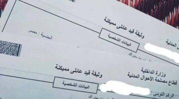 في خطوات بسيطة.. كيفية استخراج القيد العائلي والمستندات المطلوبة – الجريدة