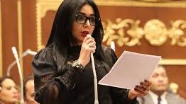 برلمانية تطالب الحكومة بدعم صناعة السيارات الكهربائية – الجريدة