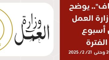 حصاد وزارة العمل خلال الـ7 أيام الماضية – الجريدة