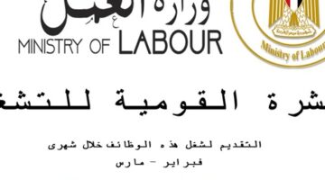 3862 فُرصة عمل جديدة في 59 شركة خاصة تنتظر شباب 10 محافظات.. والتقديم خلال فبراير ومارس 2025 – الجريدة