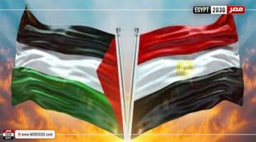أستاذ علوم سياسية: القضية الفلسطينية حاضرة بقوة في جميع اتصالات السيسي | توك شو – الجريدة
