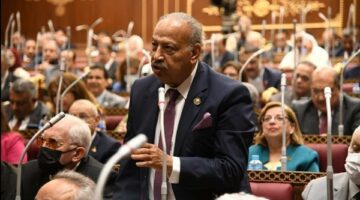 الموقف المصري الأردني قاطع لدحض مخطط التهجير وإرساء الحق الفلسطيني – الجريدة
