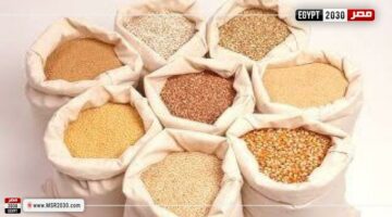 سعر شيكارة العلف اليوم الخميس عند التاجر.. مين هيخزن | الاقتصاد – الجريدة