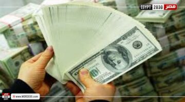 ضبط 8 ملايين جنيه حصيلة قضايا اتجار بالنقد الاجنبى خلال 24 ساعة | الحوادث – الجريدة