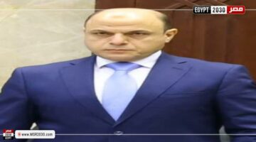 محافظ كفرالشيخ: ضبط 455 عبوة أدوية بيطرية منتهية الصلاحية وأخرى مجهولة المصدر ببيلا | المحافظات – الجريدة