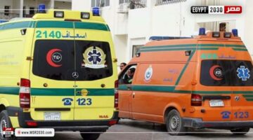 مصرع شخص إثر سقوطه من أعلى سيارة في المنوفية | الحوادث – الجريدة
