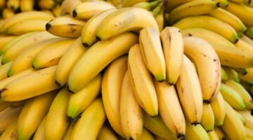 مادا يحدث لجسمك عند تناول الموز على الريق؟ – الجريدة