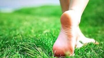 صعود السلالم أم المشي .. أيهما يساعدك على إنقاص الوزن بشكل أسرع؟ – الجريدة