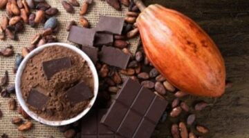 الاحتباس الحراري والأمطار الغزيرة يهددان زراعة الكاكاو في العالم – الجريدة