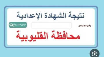 بالاسم ورقم الجلوس .. ننشر رابط نتيجة الشهادة الإعدادية بالقليوبية – الجريدة