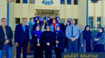 مبادرات رقمية وتنموية لتمكين الشباب في محافظتي الأقصر وأسوان – الجريدة