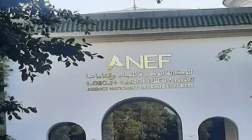 بيان توضيحي من الوكالة الوطنية للمياه والغابات – الجريدة