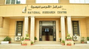 التعليم العالي يدعم الابتكار لتنمية الصناعات النسيجية