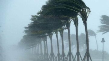 الأرصاد: انخفاض كبير بدرجات الحرارة.. القاهرة 13°