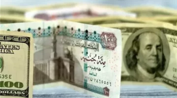أسعار الدولار في البنوك المصرية تستقر اليوم