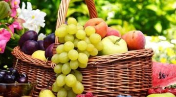أسعار الفاكهة بالإسماعيلية 28 مارس 2028