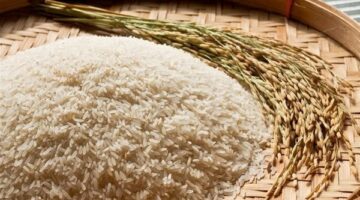 أسعار طن الأرز الشعير اليوم 29 مارس 2025