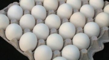 أسعار البيض في مصر اليوم 29-3-2025