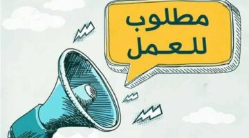 وزارة العمل تعلن وظائف جديدة برواتب تصل لـ82 ألف جنيه