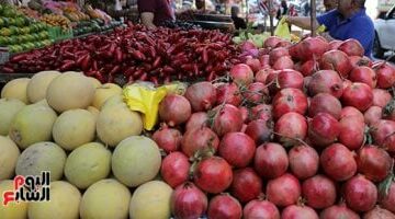 أسعار الفاكهة بمطروح اليوم: الموز بـ35 جنيه.