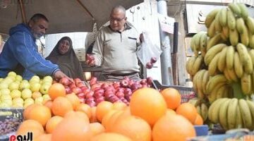 أسعار الفاكهة بالإسماعيلية اليوم 1-4-2025