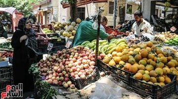 أسعار الفاكهة اليوم بالإسماعيلية 21-3-2025