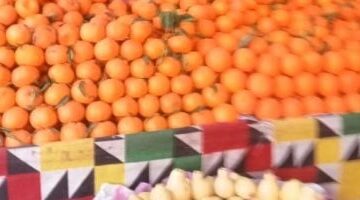أسعار الفاكهة اليوم بالإسماعيلية 27-3-2025: اليوسفي 15 جنيهًا
