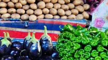 أسعار الخضراوات اليوم 29-3-2025 بمطروح