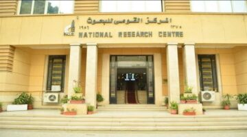 دعم التعليم العالي للابتكار وريادة الأعمال الصناعية
