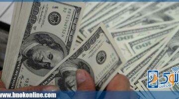 سعر الدولار مقابل الجنيه اليوم الثلاثاء بالبنوك المصرية | أسعار العملات – الجريدة