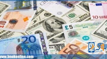 أسعار العملات العربية والأجنبية في مصر اليوم الثلاثاء 11-3-2025 | أسعار العملات – الجريدة
