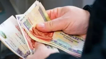 قرار حكومي يفرح أصحاب المعاشات بمصر.